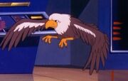 Falcon