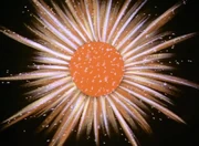     '"`UNIQ--ref-00000000-QINU`"'