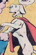 Krypto