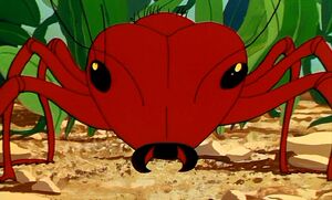 Red ant.jpg