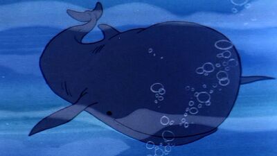 Pilot whale
