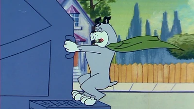  holding on to the back of a 