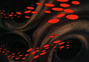 Red blood cells