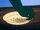 Bean