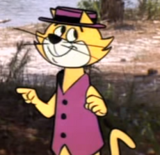 Top Cat, The Cartoon Network Wiki