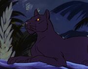 Panther