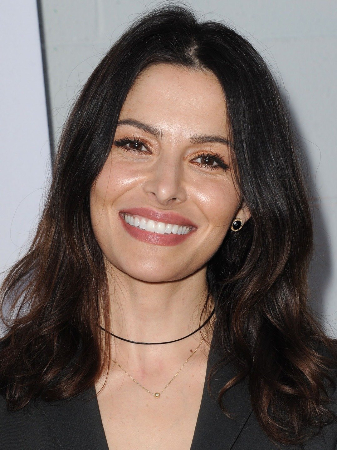 Sarah Shahi Superhero Films Wiki Fandom