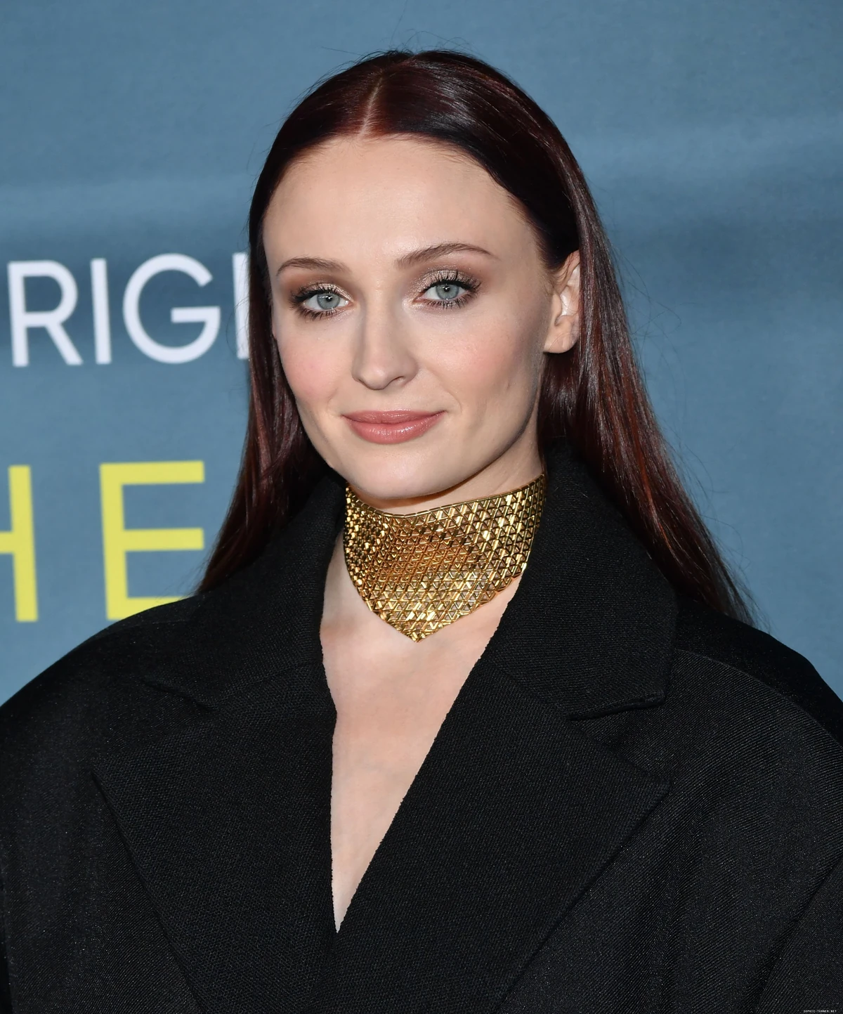 Sophie Turner | Superhero Films Wiki | Fandom