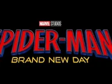 Spider-Man: Brand New Day