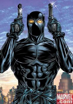 Blackpanthericon