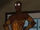 Brown Widow