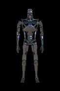 The T800's Endoskeleton