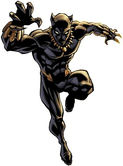 Black Panther Superhero Wiki Fandom