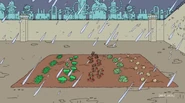 The Vegetable Garden seen in "Superstorm!"