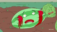 A Watermelon (squashed with Tomatoes onto his face) in "Nightshift"