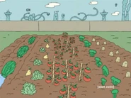 The Vegetable Garden shown in "Bunny Love"