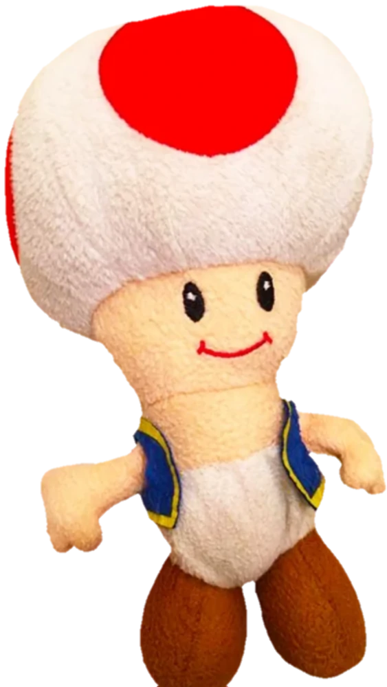 Toad, SuperJeffyJhacir Wiki