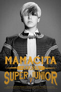 Sungmin for MAMACITA (2014)