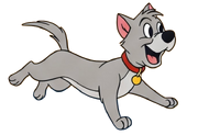 Max the Dog