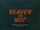 Beaver or Not Credits