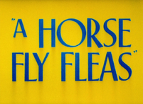 A Horse Fly Fleas