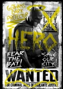 Promobats.png (279 kB)