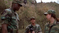 Steel-05.jpg (105 KB)