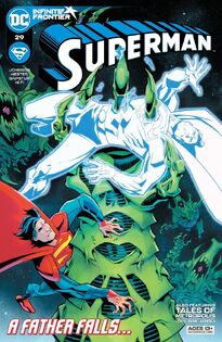 Superman Vol 5 29