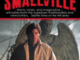 Smallville novels