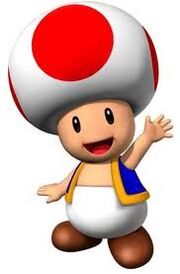 Toad