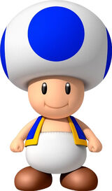 Bluetoad2.jpg