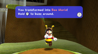 Mariotransformbee