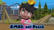 PrincessSMG3-Screenshoot312.png (1.5 MB)