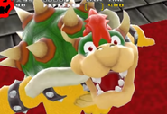 Bowser's expression says all.