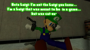 Beta Luigi