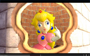 Does Peach love Bowser?