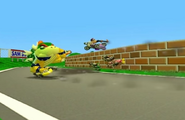 A typical race at Mario Raceway.