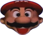 Mario Head