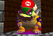 Super Bowser.