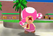 Toadette's "wut" face in reaction to Frog Mario showing her an "I LOVE YOU" Toadette!!" sign.