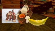 Donkey Kong's Toiyz