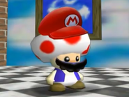 Possessing Toad