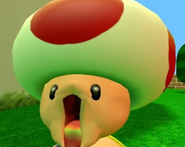 Toad shocked.