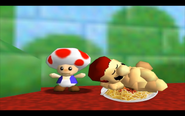 Toad and Mario