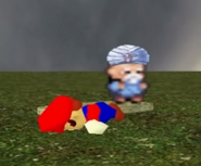 Mario fell down.