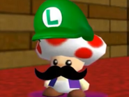 Luigi