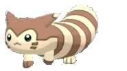 Furret walking.gif (603 KB)