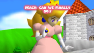 The Princess Peach asking Toadsworth when they'll finally go to vacation.