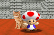 MariosTabbyCat