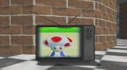 Toad on the TV.